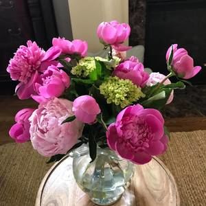 Meet your Posher, Kim